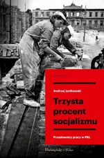 Trzysta procent socjalizmu - Andrzej Janikowski