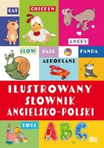 Ilustrowany słownik angielsko-polski - zbiorowe opracowanie