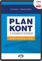 Plan kont z komentarzem – handel, produkcja, usługi (e-book) - Dr Katarzyna Koleśnik