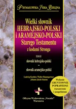 Wielki słownik hebrajsko-polski i aramejsko-polski Starego Testamentu z kodami Stronga - Walter Baumgartner