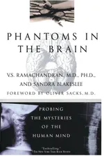 Phantoms in the Brain - V. S. Ramachandran
