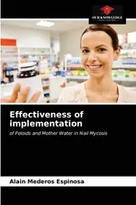 Effectiveness of implementation - Espinosa Alain Mederos