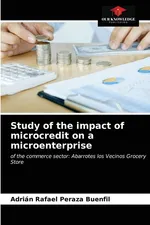 Study of the impact of microcredit on a microenterprise - Buenfil Adrián Rafael Peraza