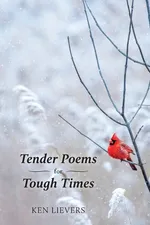 Tender Poems for Tough Times - Ken Lievers