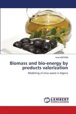 Biomass and bio-energy by products valorization - Imen BERRIM