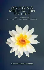 Bringing Meditation to Life - Claude Anshin Thomas