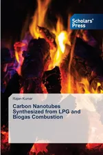 Carbon Nanotubes Synthesized from LPG and Biogas Combustion - Rajan Kumar