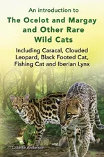 An introduction to The Ocelot and Margay and Other Rare Wild Cats Including Caracal, Clouded Leopard, Black Footed Cat, Fishing Cat and Iberian Lynx - Colette Anderson