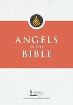 Angels in the Bible - George M Smiga