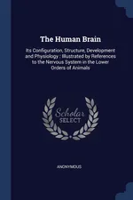 The Human Brain - Anonymous