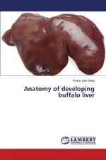 Anatomy of Developing Buffalo Liver - Probal Jyoti Doley