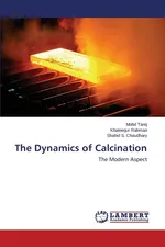 The Dynamics of Calcination - Mohd Tariq