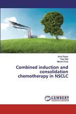 Combined induction and consolidation chemotherapy in NSCLC - Amal Rayan