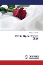 CIN in Upper Egypt LEEP - Mahmoud Edessy
