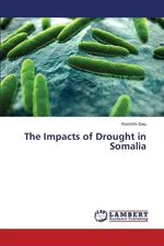 The Impacts of Drought in Somalia - Atemthi Dau