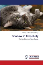 Shadow in Perpetuity - Nicholas Anthony Othieno-Abinya