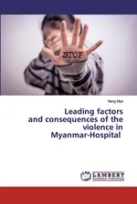 Leading factors and consequences of the violence in Myanmar-Hospital - Nang Mya