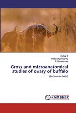 Gross and microanatomical studies of ovary of buffalo - Kumar K