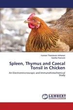 Spleen, Thymus and Caecal Tonsil in Chicken - Arthanari Kannan Thandavan