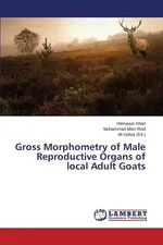 Gross Morphometry of Male Reproductive Organs of local Adult Goats - Hamayun Khan