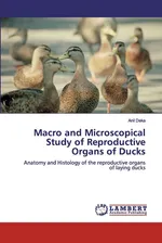 Macro and Microscopical Study of Reproductive Organs of Ducks - Anil Deka