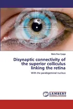 Disynaptic connectivity of the superior colliculus linking the retina - Oyaga Maria Roa