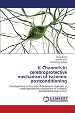 K-Channels in cerebroprotective mechanism of ischemic postconditioning - Nirmal Singh