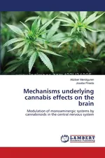 Mechanisms underlying cannabis effects on the brain - Aitziber Mendiguren