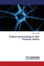 Colour Processing in the Human Retina - Naveen Challa