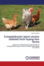 Campylobacter Jejuni Strains Isolated from Laying Hen Farms - Marwa Ahmed