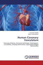 Human Coronary Vasculature - J. Vasudeva Reddy