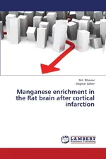 Manganese Enrichment in the Rat Brain After Cortical Infarction - Mit Bhavsar