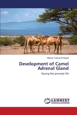 Development of Camel Adrenal Gland - El-Sayed Ahmed Kamel