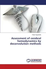 Assessment of Cerebral Hemodynamics by Deconvolution Methods - Pedro Figueiredo