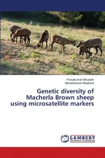 Genetic diversity of Macherla Brown sheep using microsatellite markers - Punyakumari Bhupathi
