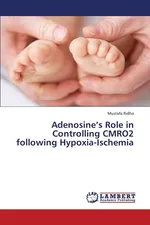 Adenosine's Role in Controlling Cmro2 Following Hypoxia-Ischemia - Mustafa Ridha