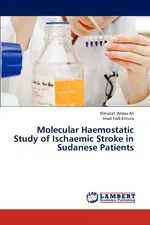 Molecular Haemostatic Study of Ischaemic Stroke in Sudanese Patients - Ali Elshazali Widaa