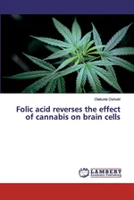 Folic acid reverses the effect of cannabis on brain cells - Olakunle Osinubi