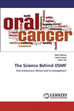 The Science Behind OSMF - Mohit Rathore