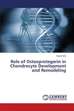 Role of Osteoprotegerin in Chondrocyte Development and Remodeling - Ranim Mira
