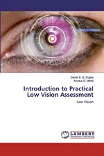 Introduction to Practical Low Vision Assessment - Daniel S. Q. Dogbe