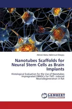 Nanotubes Scaffolds for Neural Stem Cells as Brain Implants - Ahmed Abdou Mahmoud Elnegiry