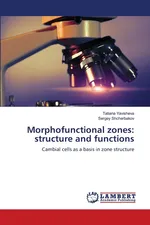 Morphofunctional zones - Tatiana Yavisheva