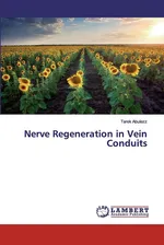 Nerve Regeneration in Vein Conduits - Tarek Abulezz