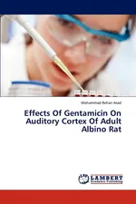Effects of Gentamicin on Auditory Cortex of Adult Albino Rat - Mohammad Rehan Asad