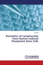 Derivation of Lymphocytes from Human induced Pluripotent Stem Cells - Chao Ma