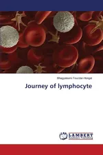 Journey of Lymphocyte - Bhagyalaxmi Fouzdar-Hongal