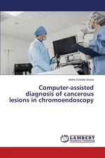 Computer-Assisted Diagnosis of Cancerous Lesions in Chromoendoscopy - Sousa Andre Correia