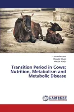 Transition Period in Cows - Leilson Bezerra