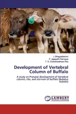 Development of Vertebral Column of Buffalo - J. Bhagyalakshmi